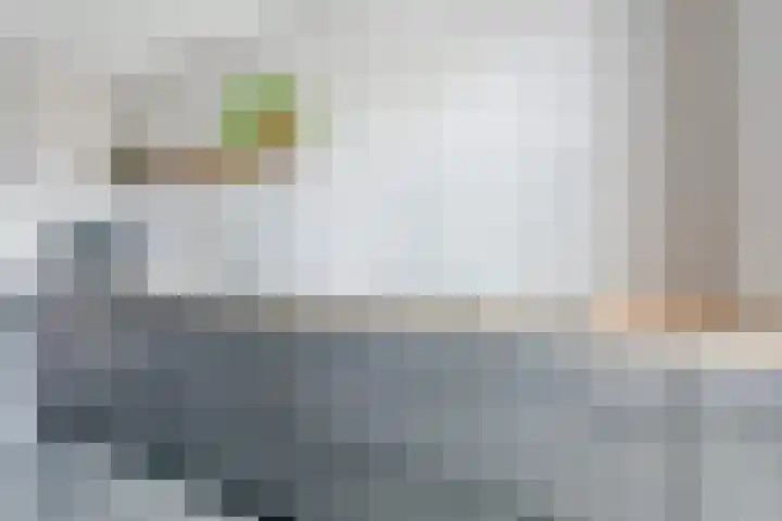 Zeewolf 37 Schagen thumbnail 11