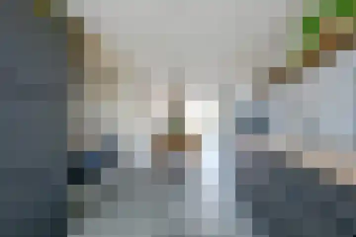 Zeewolf 37 Schagen thumbnail 12