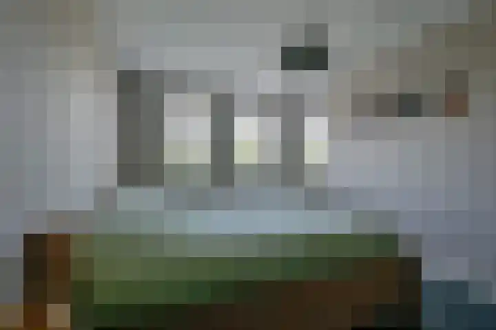 Zeewolf 37 Schagen thumbnail 22