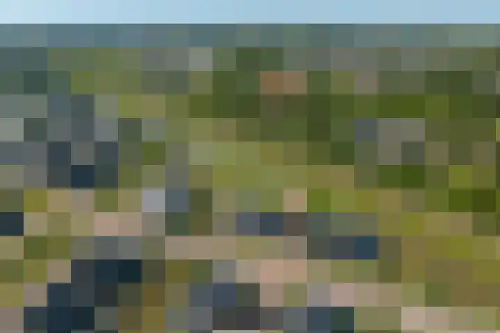 Zeewolf 37 Schagen thumbnail 37