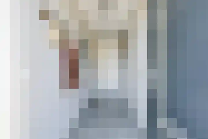 Zeewolf 37 Schagen thumbnail 6