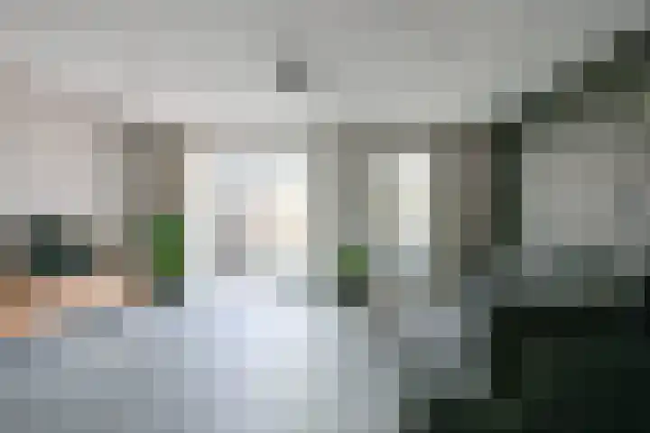 Zeewolf 37 Schagen thumbnail 7