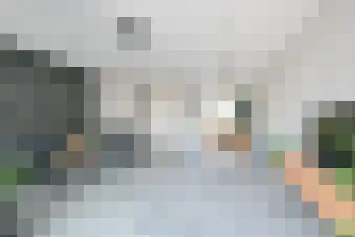 Zeewolf 37 Schagen thumbnail 8