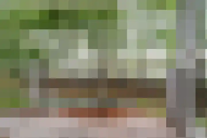 Zeezigt 120 Diemen thumbnail 10