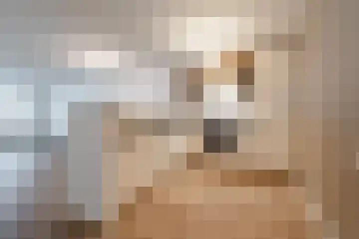 Zeezigt 120 Diemen thumbnail 14
