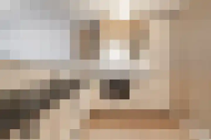 Zeezigt 120 Diemen thumbnail 15