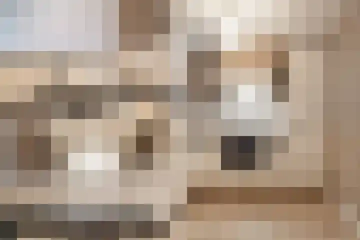 Zeezigt 120 Diemen thumbnail 16