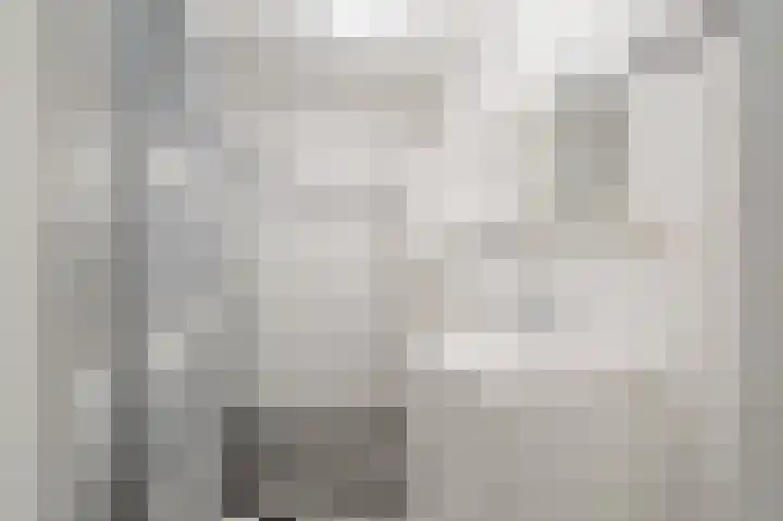 Zeezigt 120 Diemen thumbnail 25