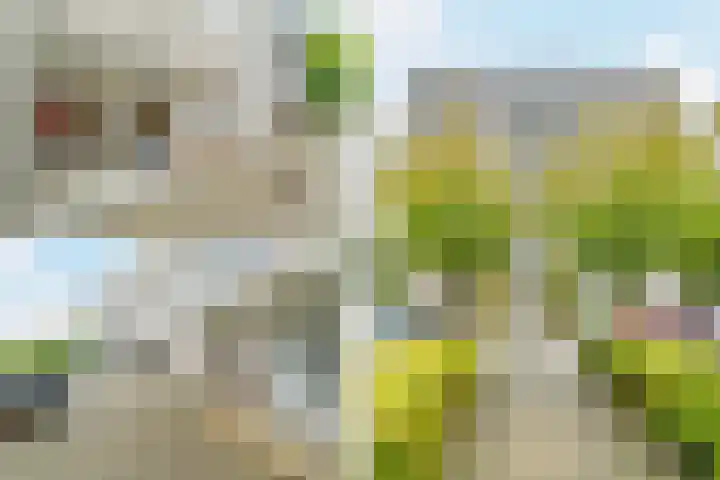 Zeezigt 120 Diemen thumbnail 30