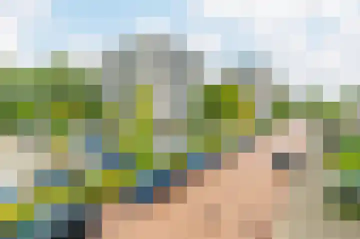 Zeezigt 120 Diemen thumbnail 31