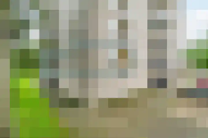 Zeezigt 120 Diemen thumbnail 32