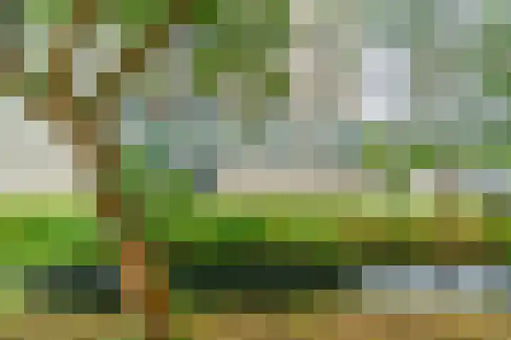 Zeezigt 120 Diemen thumbnail 33