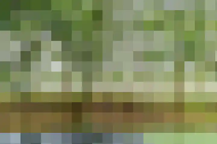 Zeezigt 120 Diemen thumbnail 35