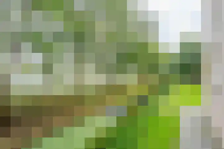 Zeezigt 120 Diemen thumbnail 36