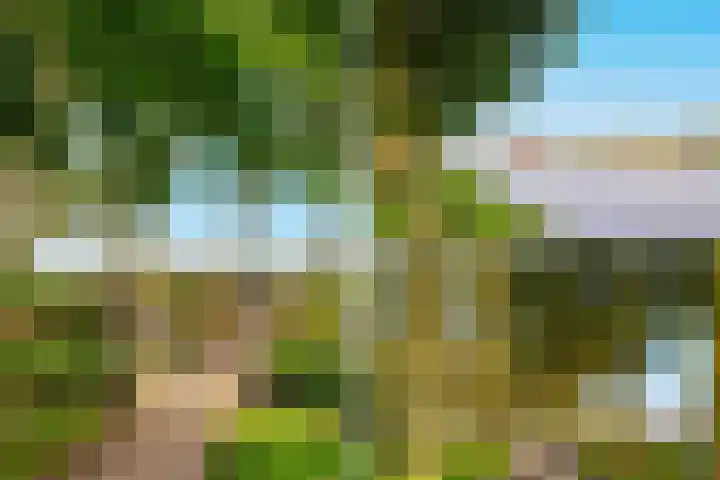 Zeezigt 120 Diemen thumbnail 39