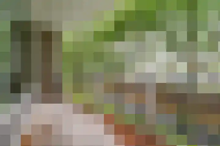 Zeezigt 120 Diemen thumbnail 4