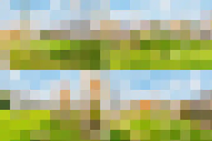 Zeezigt 120 Diemen thumbnail 41