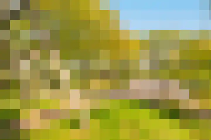 Zeezigt 120 Diemen thumbnail 42