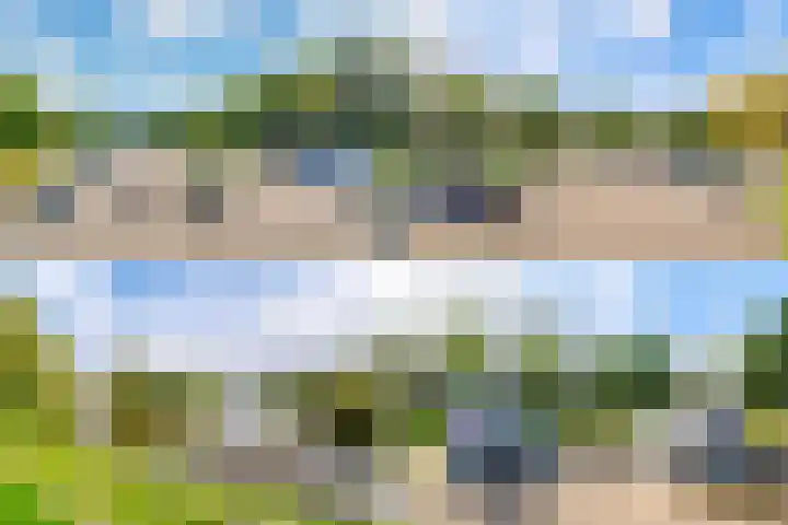 Zeezigt 120 Diemen thumbnail 44
