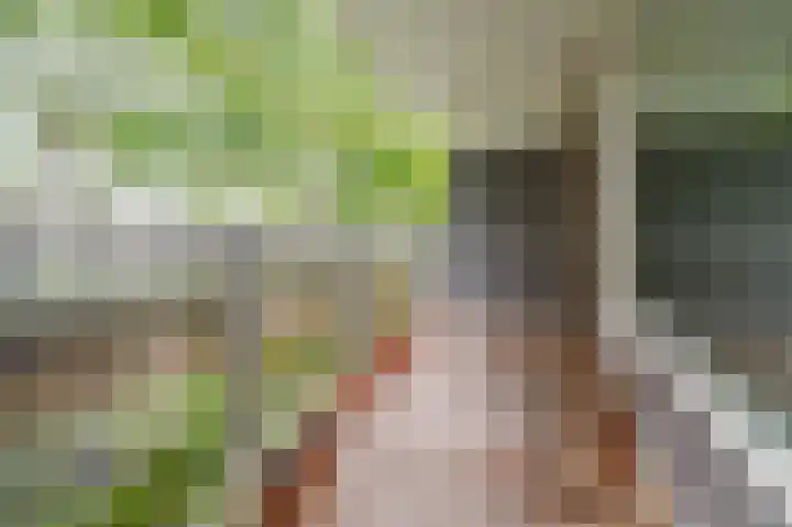 Zeezigt 120 Diemen thumbnail 9