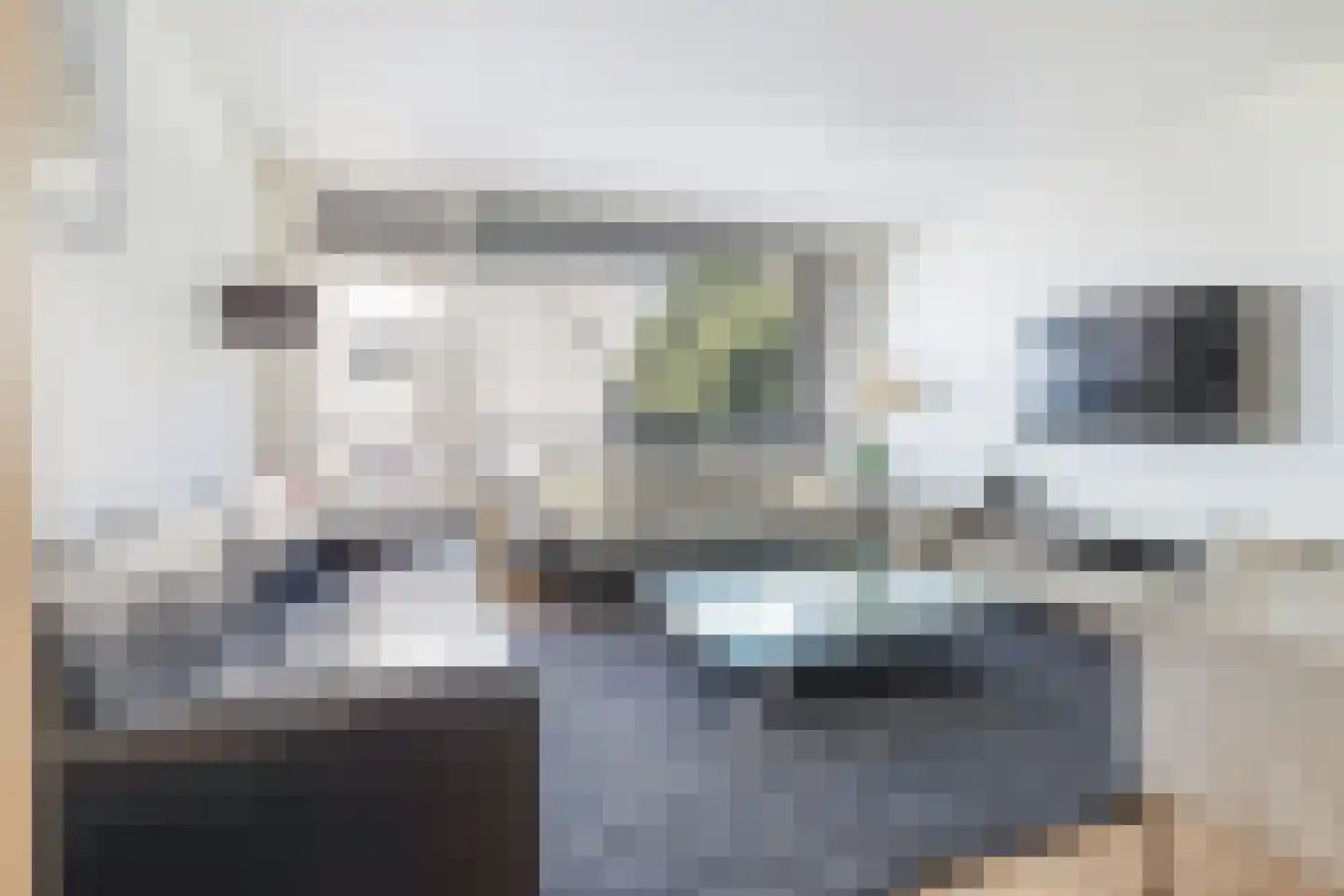 Zeezigt 150 Diemen thumbnail 13