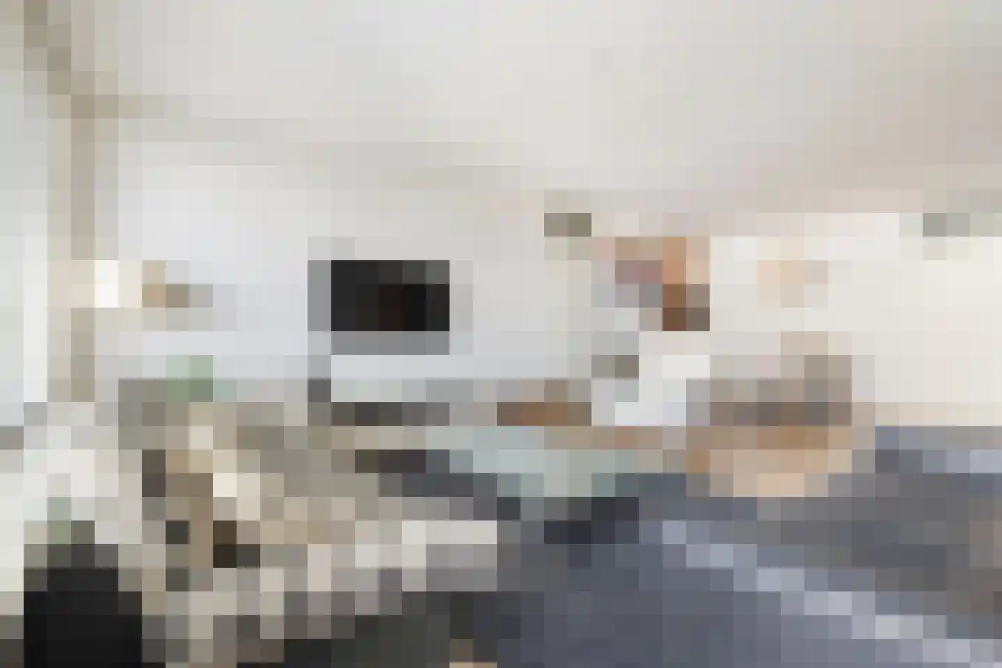 Zeezigt 150 Diemen thumbnail 14