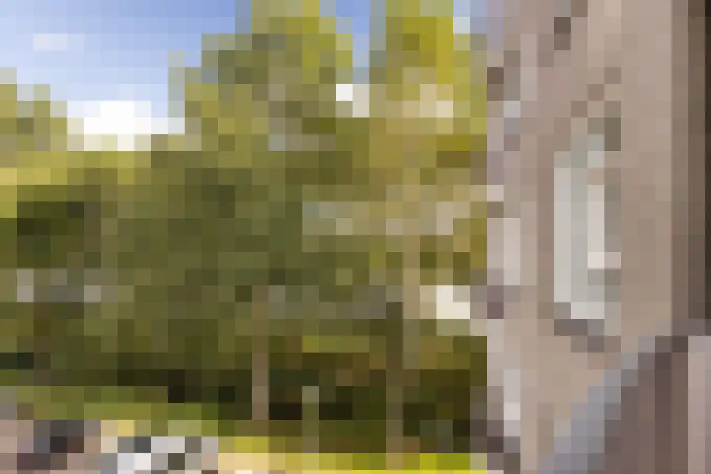 Zeezigt 150 Diemen thumbnail 15