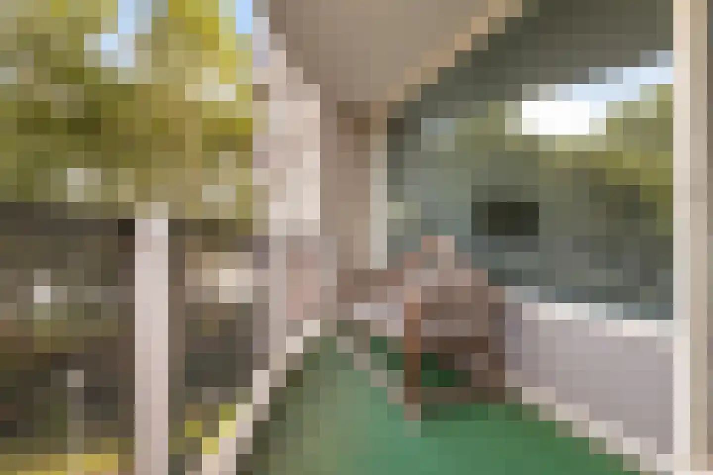 Zeezigt 150 Diemen thumbnail 16