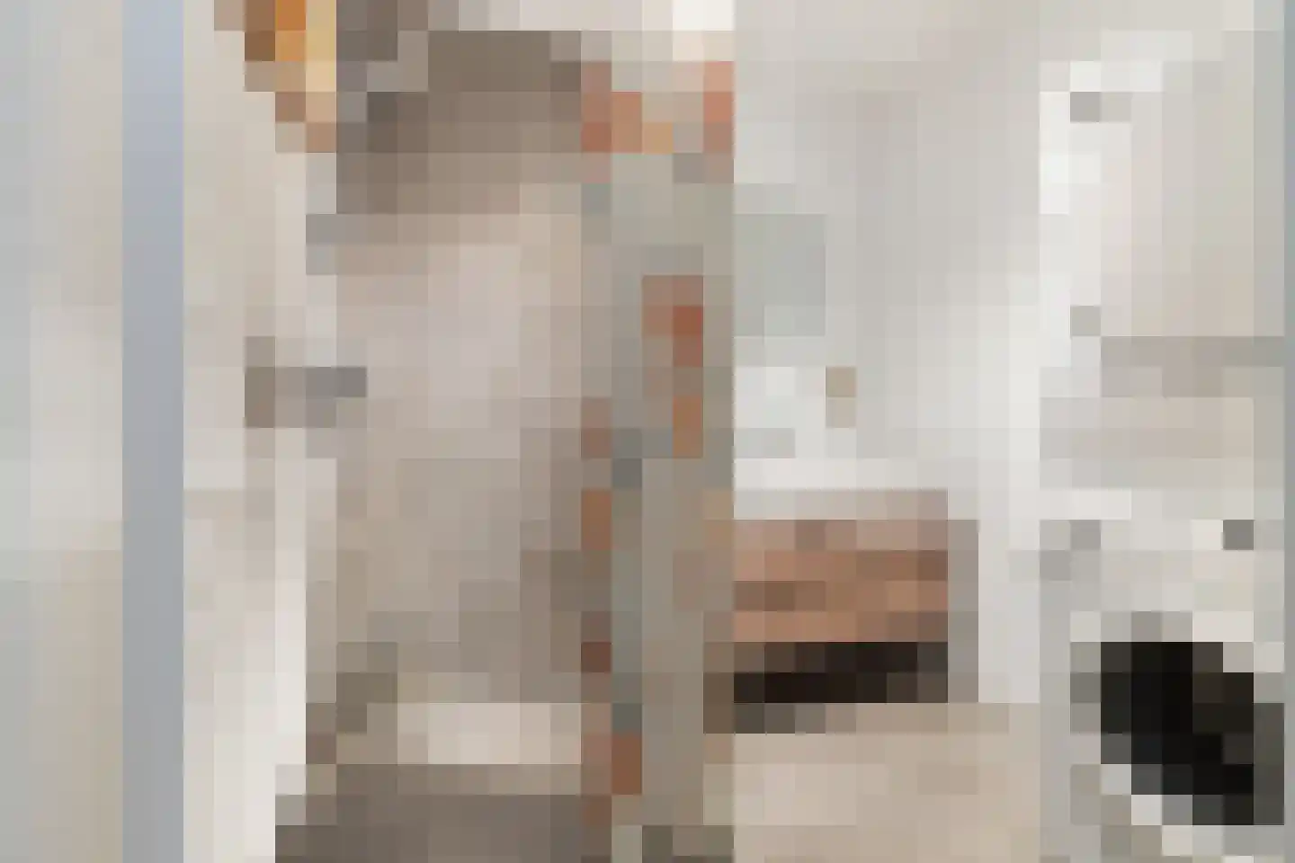 Zeezigt 150 Diemen thumbnail 19
