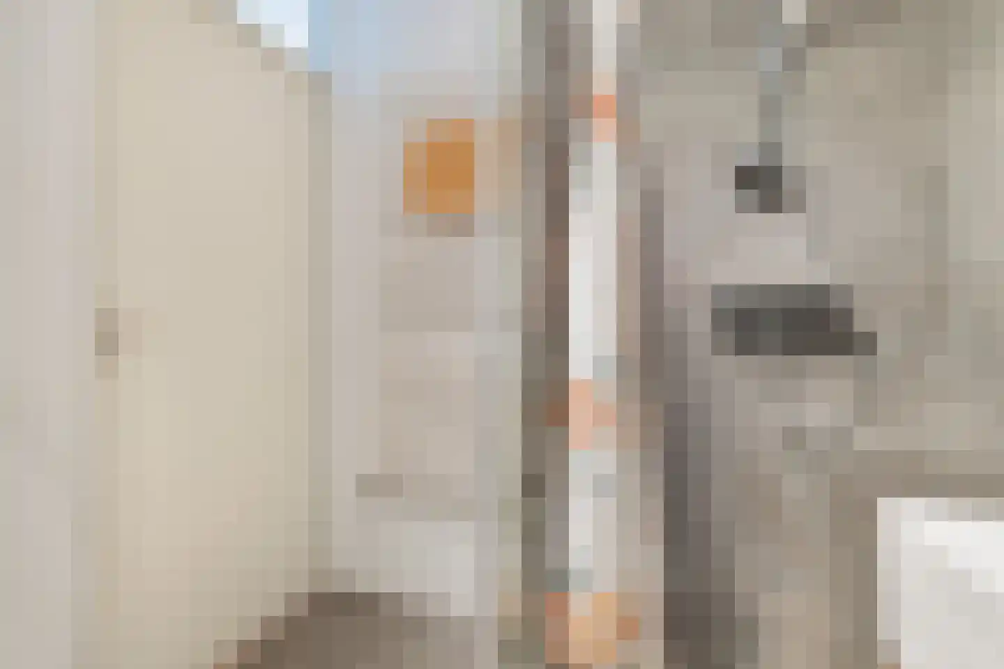 Zeezigt 150 Diemen thumbnail 20