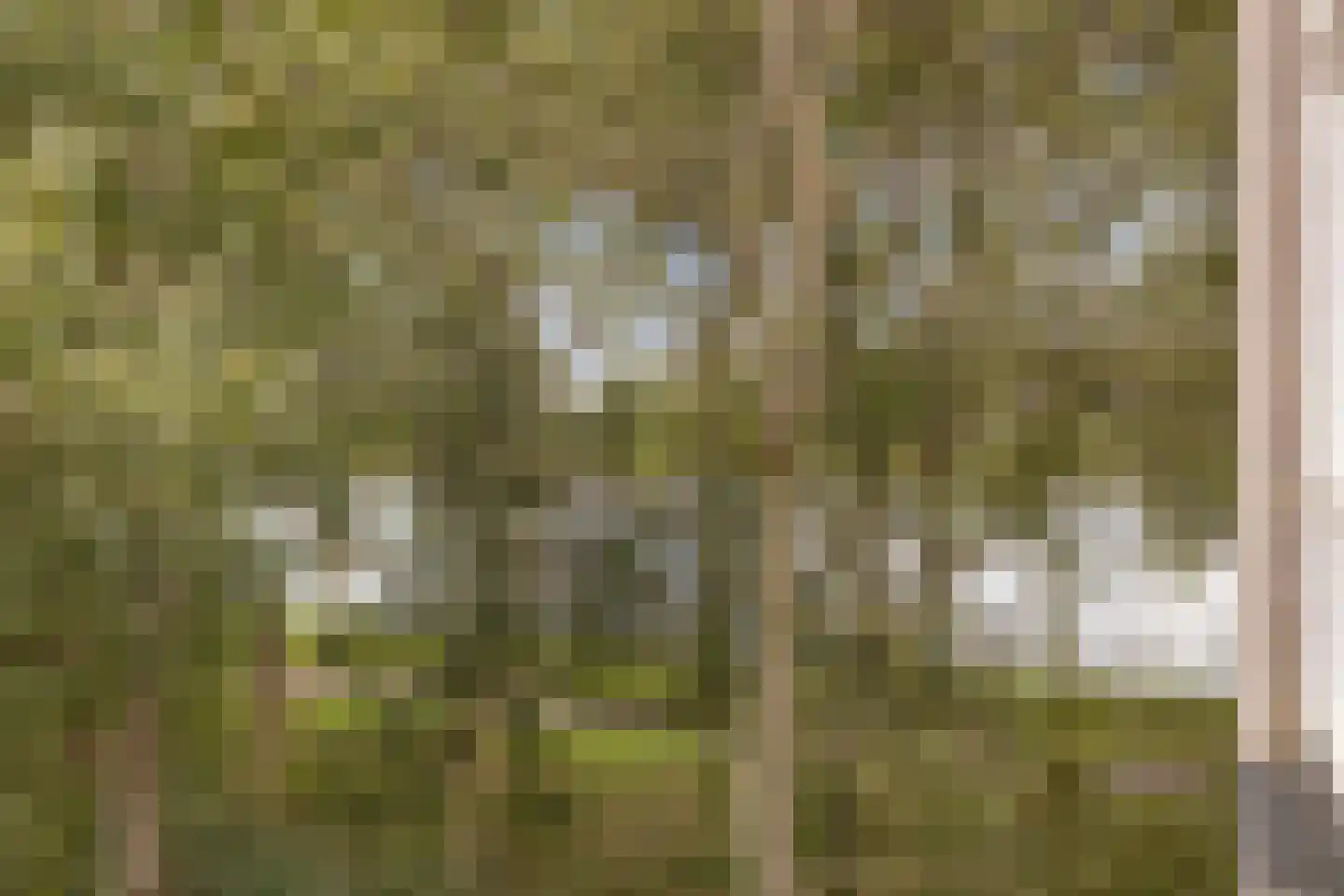 Zeezigt 150 Diemen thumbnail 26
