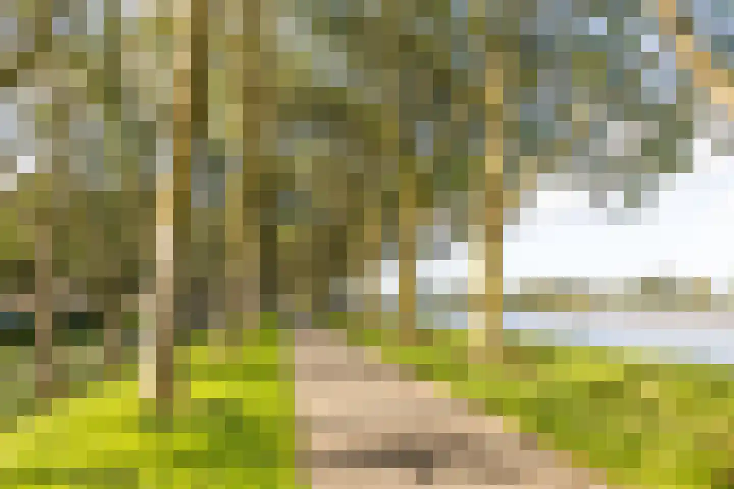 Zeezigt 150 Diemen thumbnail 29