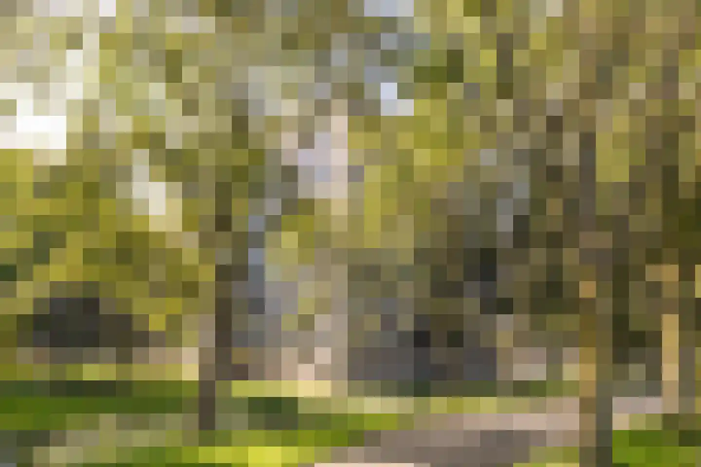 Zeezigt 150 Diemen thumbnail 31
