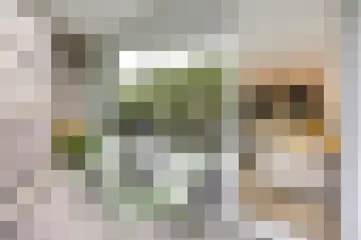 Zeezigt 170 Diemen thumbnail 11