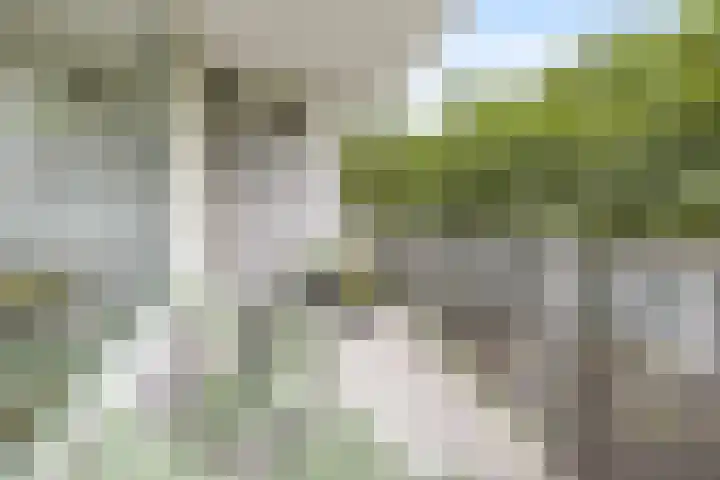 Zeezigt 170 Diemen thumbnail 13