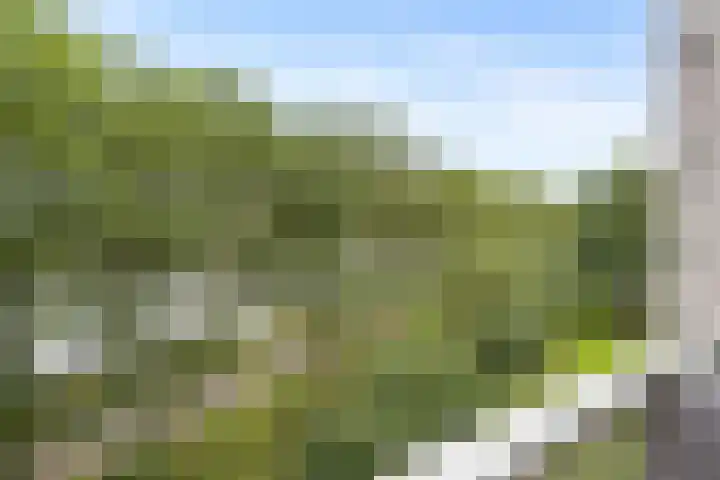 Zeezigt 170 Diemen thumbnail 14