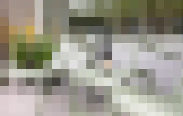 Zeezigt 170 Diemen thumbnail 15