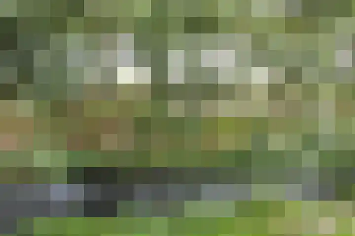 Zeezigt 170 Diemen thumbnail 16