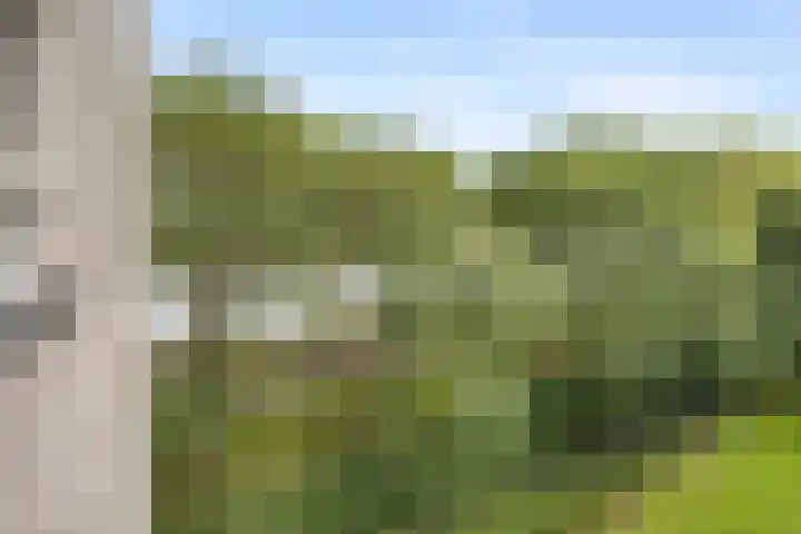 Zeezigt 170 Diemen thumbnail 21