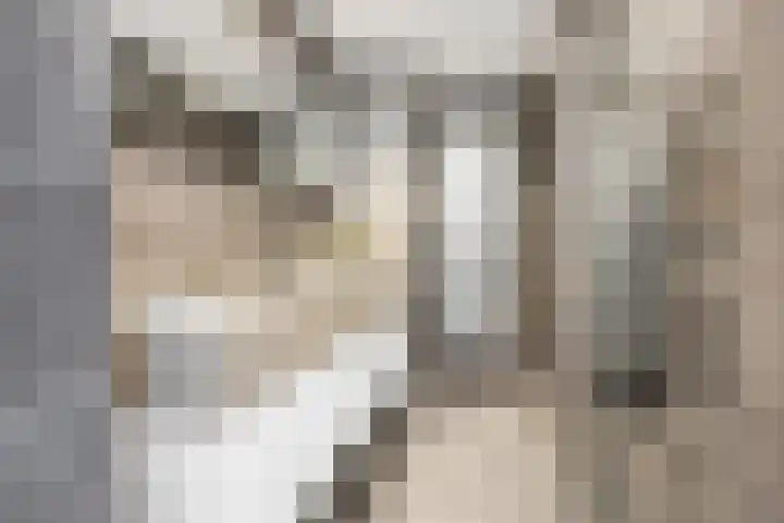 Zeezigt 170 Diemen thumbnail 27