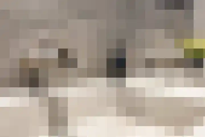 Zeezigt 170 Diemen thumbnail 28