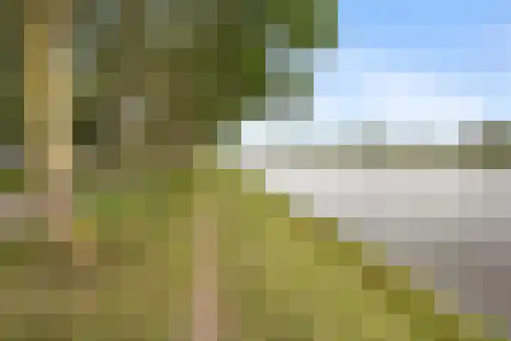 Zeezigt 170 Diemen thumbnail 37