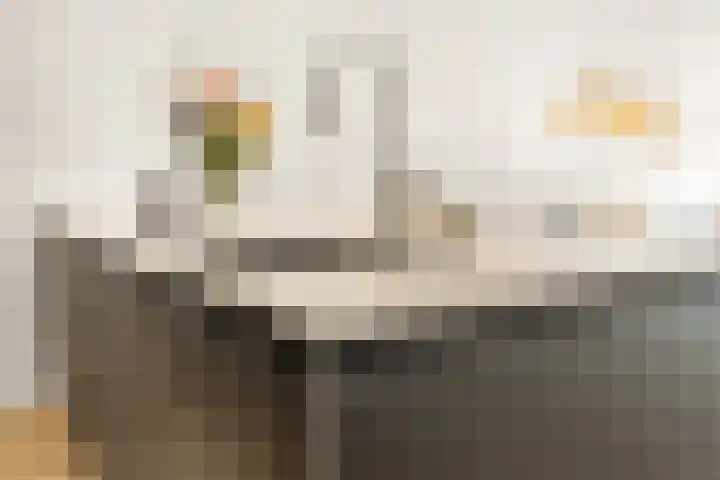 Zeezigt 170 Diemen thumbnail 6