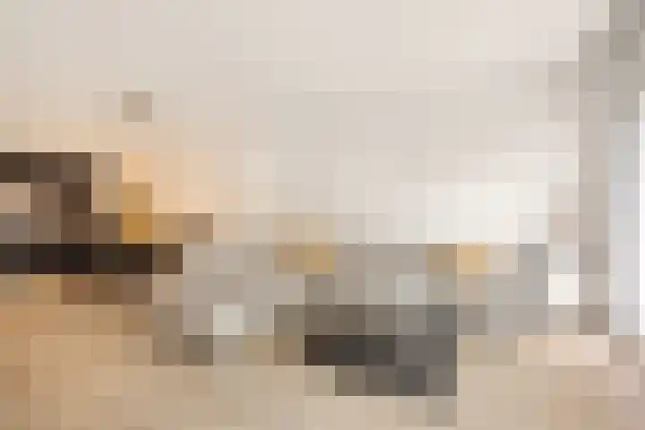 Zeezigt 170 Diemen thumbnail 9