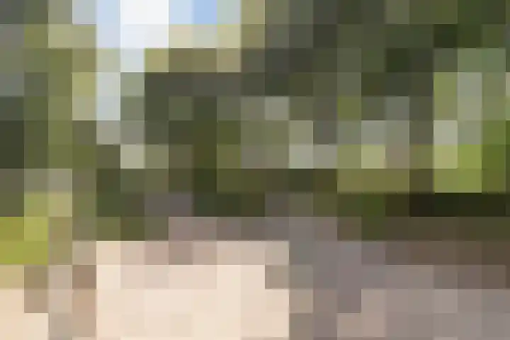 Zeezigt 212 Diemen thumbnail 36
