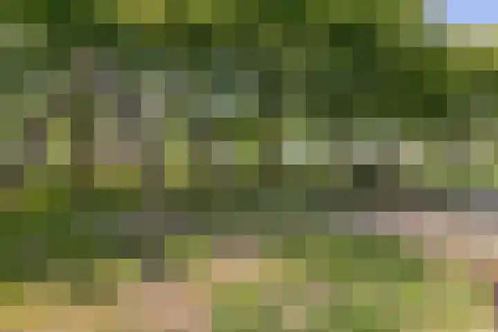 Zeezigt 212 Diemen thumbnail 37