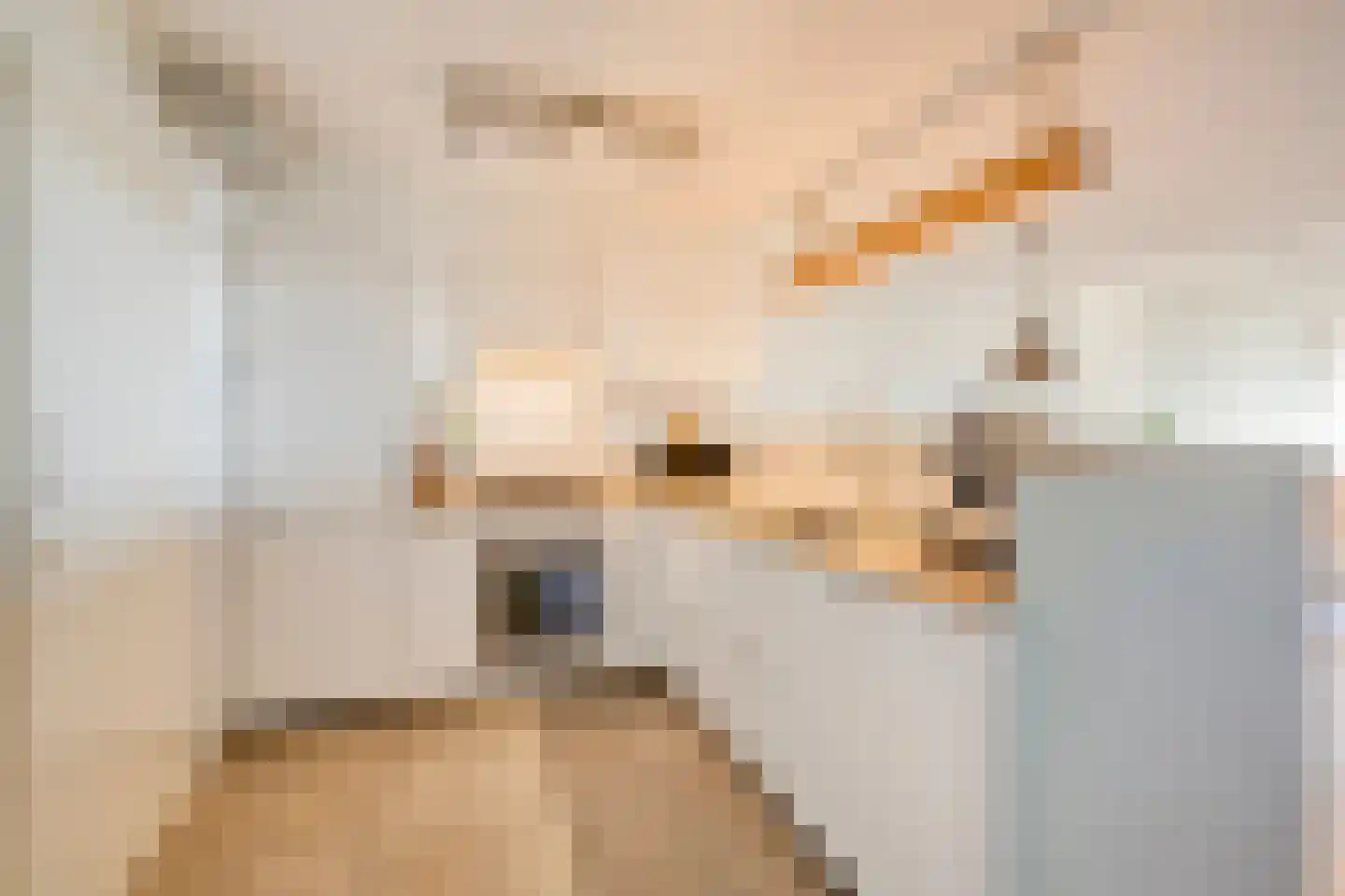 Zeezigt 218 Diemen thumbnail 16