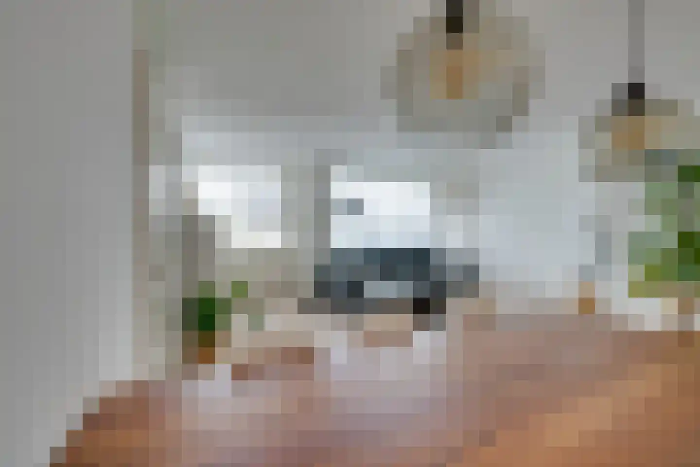 Zeezigt 258 Diemen thumbnail 11