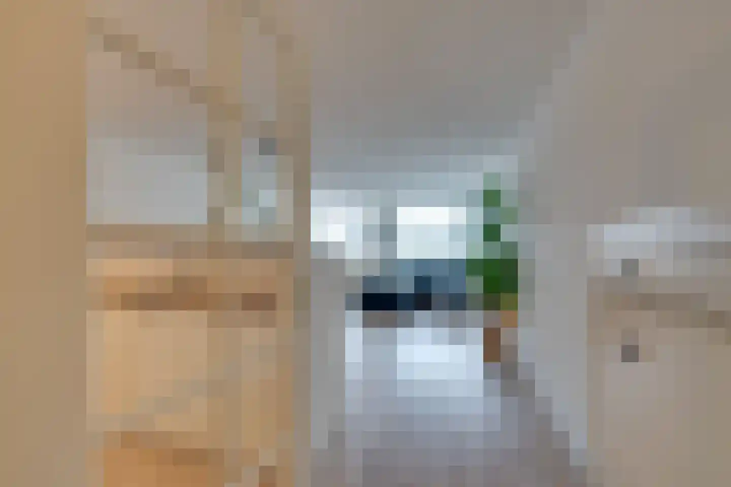Zeezigt 258 Diemen foto 2