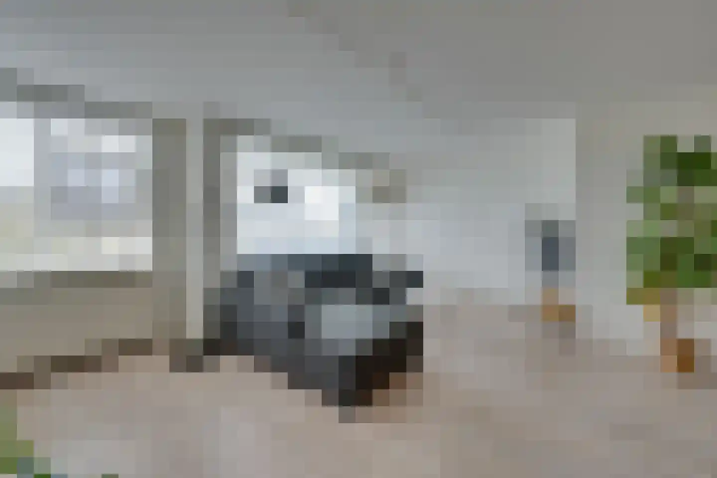 Zeezigt 258 Diemen thumbnail 4